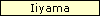 Iiyama