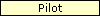 Pilot